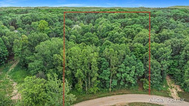 20220805115843552575000000-o