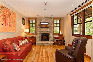 513 W Main St unit E-101, Aspen, CO 81611 - photo 7