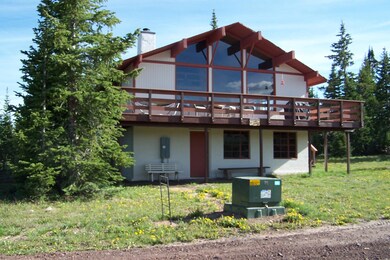 Newman Cabin 007