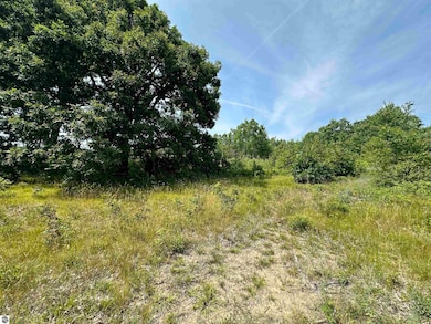 TBD Meredith Grade Rd, Harrison, MI 48625 - photo 7