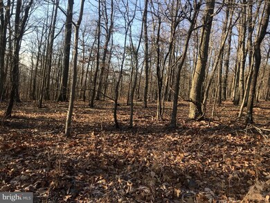 Lot 55 Grimaldi Way, Hedgesville, WV 25427 - photo 2