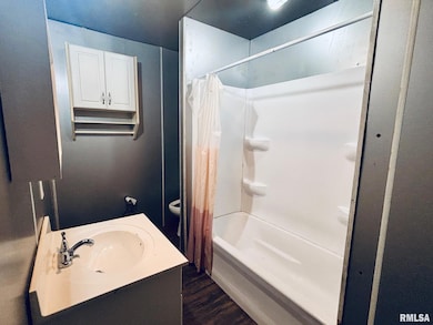 207 S Primm St, Athens, IL 62613 - photo 3