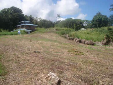 0 Mamalahoa Hwy, Hilo, HI 96720 - photo 6