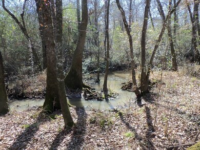 Raccoon Creek