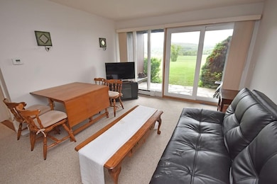 242 N East St unit 20, Amherst, MA 01002 - photo 3