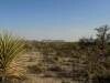 51550 Texas 118 unit H-69, Terlingua, TX 79852 - photo 4
