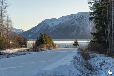Boretide Cook Inlet