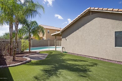 Green Turf Side Yard...