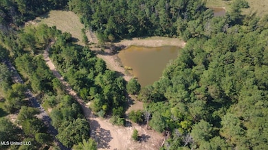 149 Lone Pine Rd, Canton, MS 39046 - photo 3