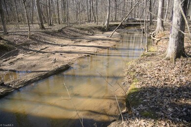Mears Fork Creek At Back Of Lot
