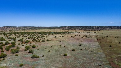 DJI_0043-HDR