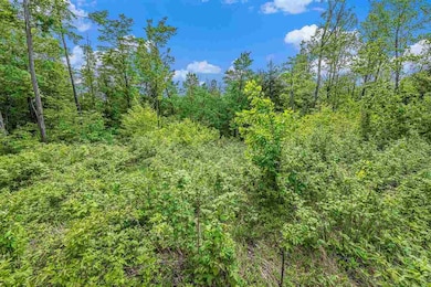 Lot 3 High Pines Trail, Boyne City, MI 49712 - photo 6