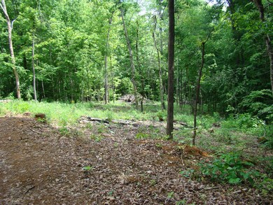 141 Jeremiah Rd, Cookeville, TN 38506 - photo 2