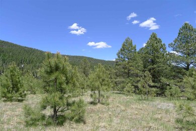 9 Copper Canyon Ct unit 12++, Cloudcroft, NM 88317 - photo 3