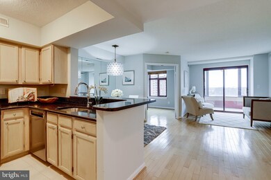 The Charleston unit 910, Arlington, VA 22201 - photo 6