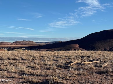 Lot #35 Bonito Valley Ranch -- unit 35, Saint Johns, AZ 85936 - photo 3