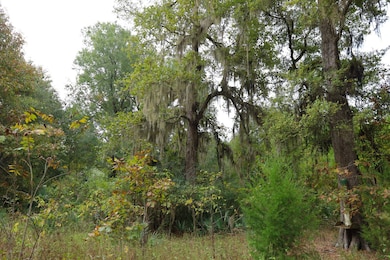 TBD Puckett Bend Rd, Columbia, LA 71418 - photo 5