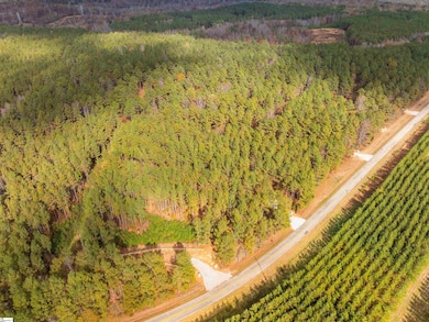 07 Mill Pine Rd, Liberty, SC 29657 - photo 6