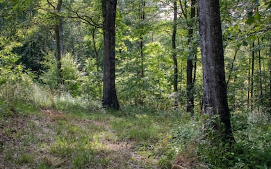 Additional View