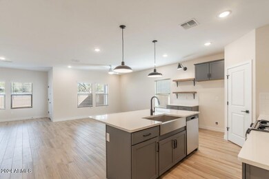 SV Lot #28 Kitchen-3 (1)