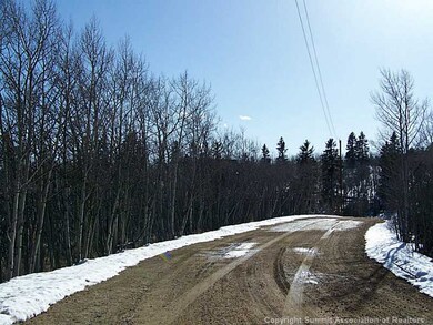 203 Falcon Rd, Como, CO 80432 - photo 7