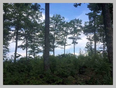 13 Point of View Dr, Plymouth, NH 03264 - photo 3