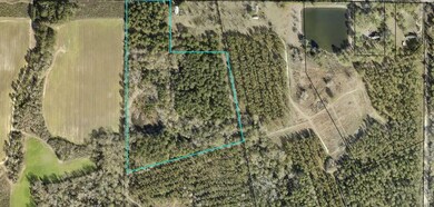 000 Doe Hill Rd, Poulan, GA 31781 - photo 5