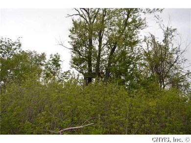 Land Tree Stand #2