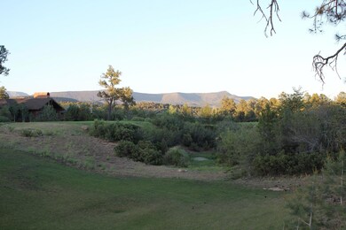 IMG_5125