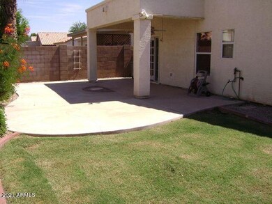 Amr Back yard