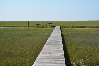 Lot 14 dock