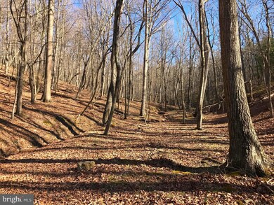 0 Beech Ln unit 1000232394, Baker, WV 26801 - photo 2