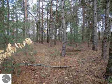 0 Brook Ave unit 1785391, Kaleva, MI 49645 - photo 6