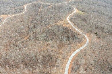 62 Vista Ridge, Stewart, TN 37175 - photo 4