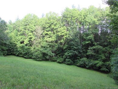 00 Sweet Hollow Rd, Burnsville, NC 28714 - photo 5