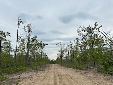 Parcel #H Town Line Rd, Lewiston, MI 49756 - photo 5