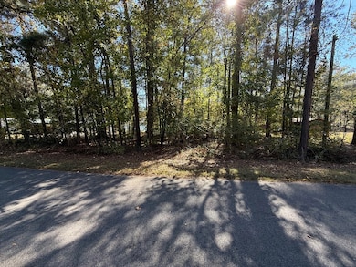 0 Gardenia Rd unit 53224, Sparta, GA 31087 - photo 3