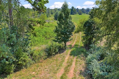 TBD Farm To Market 1798 E, Mount Enterprise, TX 75681 - photo 2