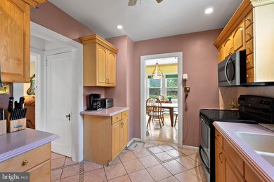 233 Cafferty Rd, Pipersville, PA 18947 - photo 6