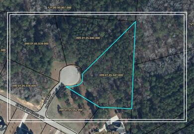 0 Mount Vintage Plantation Dr unit 547773, Edgefield, SC 29860 - photo 2