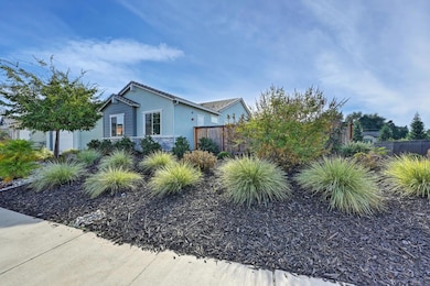 Professionally landscaped front and back