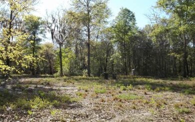 3228 Wilson Springs Rd, Fort White, FL 32038 - photo 3