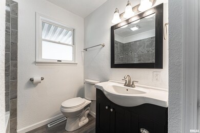 214 Welch Dr, Lincoln, IL 62656 - photo 4