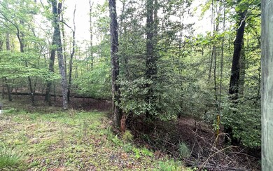 Additional View