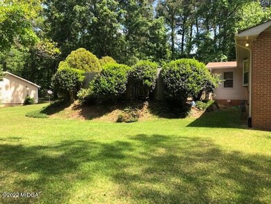 photo2