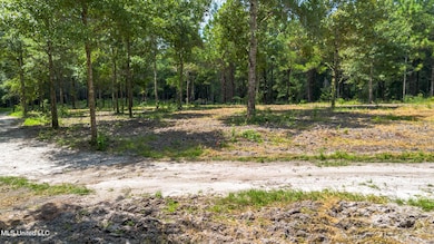 0 W Mchenry Rd, McHenry, MS 39561 - photo 6