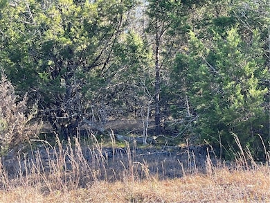 38 Danube Dr, Holiday Island, AR 72631 - photo 4