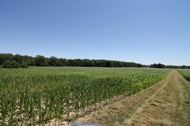 4925 Sawyer Rd, Sawyer, MI 49125 - photo 7