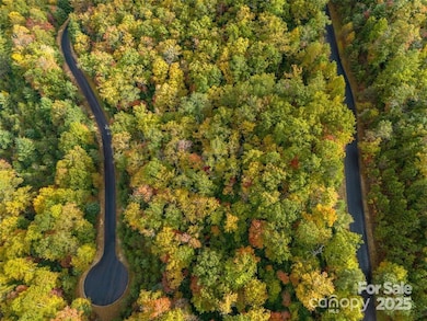99999 Mills River Way unit Lot 107, Mills River, NC 28742 - photo 5