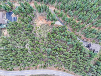 11275 Bear Run Trail, Conifer Mountain & Meadows, CO 80433 - photo 6